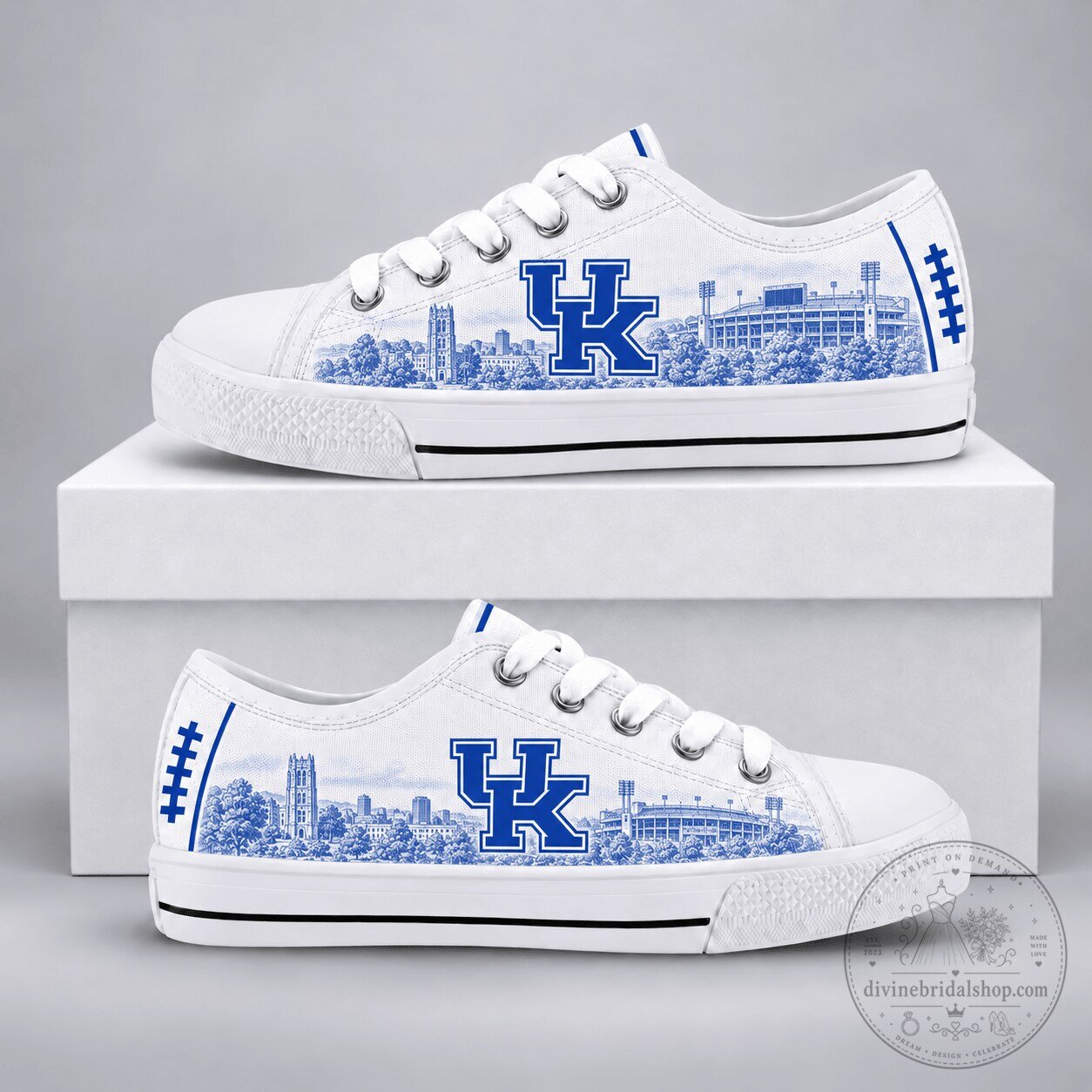 University of Kentucky Wildcats Football Pride Low Top Canvas Shoes